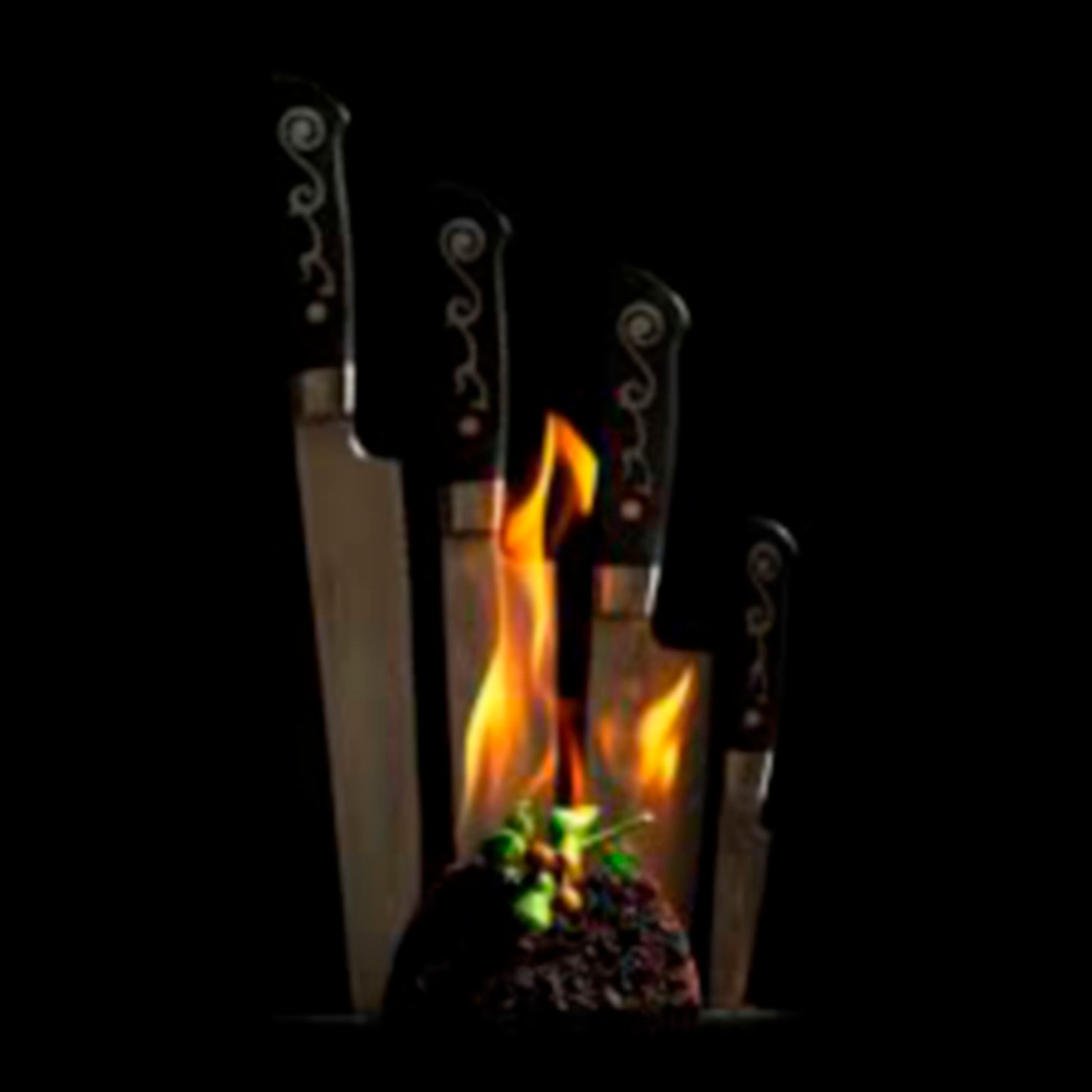 I.O. SHEN Master Grade Handcraft Laminated Chef Knife Oriental 2 Knife Gift Set