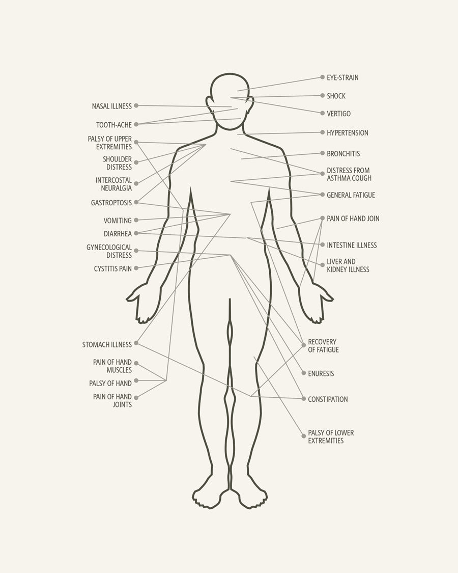 Big Chef Knife With Steel handle 7.3 inch