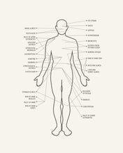 Big Chef Knife With Steel handle 7.3 inch