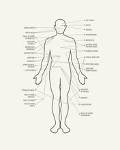 Big Chef Knife With Steel handle 7.3 inch