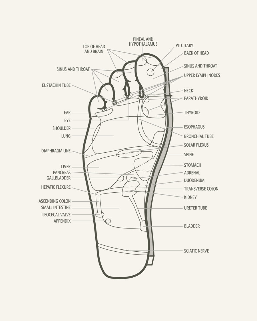 Japanese Style Chef Knife Santoku 7 inch