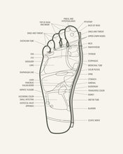 Japanese Style Chef Knife Santoku 7 inch