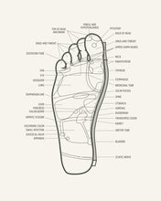 Japanese Style Chef Knife Santoku 7 inch